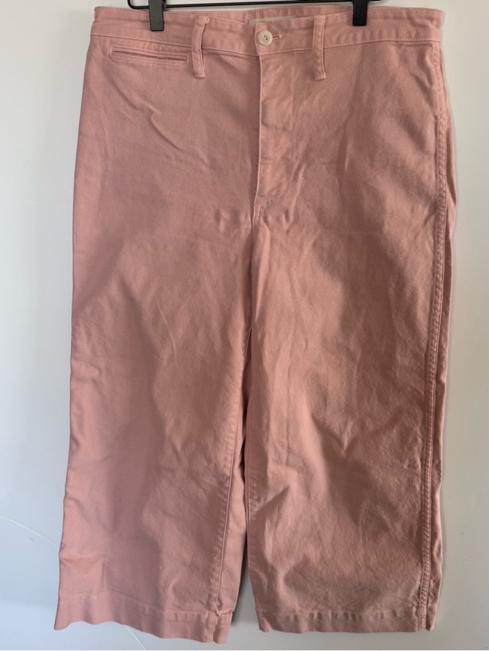 Madewell Emmett Wide-Leg Crop Pink Oyster Pants SZ 30